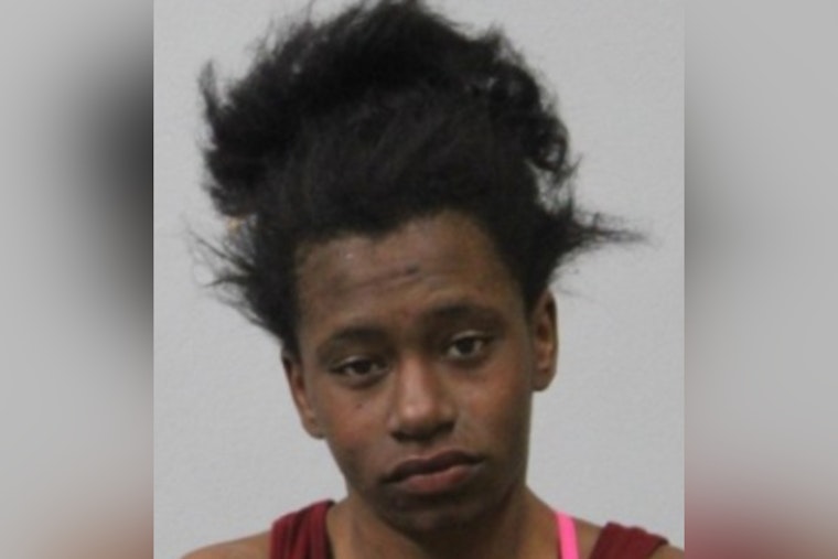 Pittsfield Police Seek Public’s Help in Search for Missing Woman Danier Fitzpatrick
