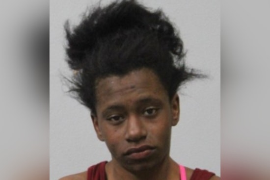 Pittsfield Police Seek Public’s Help in Search for Missing Woman Danier Fitzpatrick