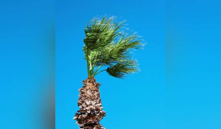 Indianapolis Braces for Strong Winds; Hazardous Weather Advisory Issued for Central Indiana