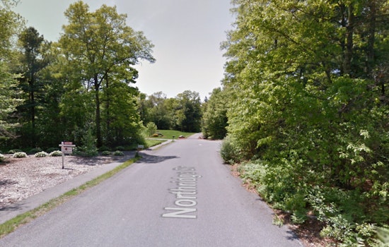 Injured Tree Worker Rescued by Plymouth County Crews from 30 Feet Up in East Bridgewater