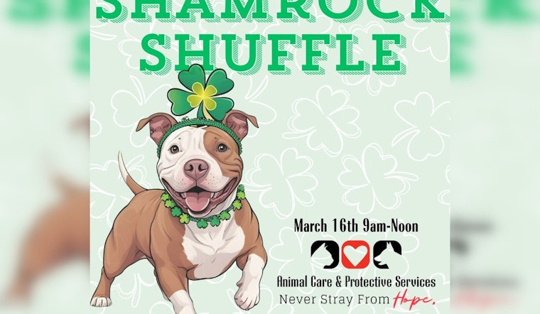 Jacksonville Invites Residents to 'Shamrock Shuffle' with Shelter Dogs for Community Engagement and Animal Welfare