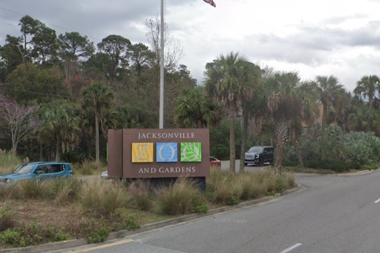 Jacksonville Mourns the Passing of Archie, Beloved and Record-Holding Southern White Rhino at 55