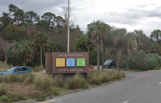 Jacksonville Mourns the Passing of Archie, Beloved and Record-Holding Southern White Rhino at 55