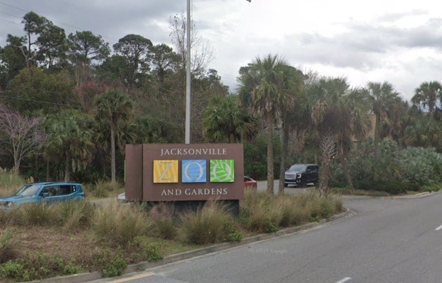 Jacksonville Mourns the Passing of Archie, Beloved and Record-Holding Southern White Rhino at 55
