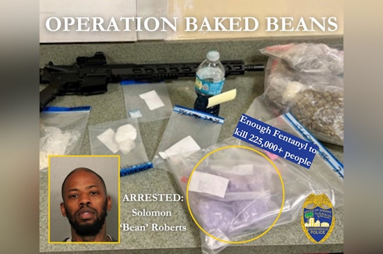 Jacksonville Sheriff's Office Makes Major Drug Bust with One Arrest and Deadly Opioids Seized
