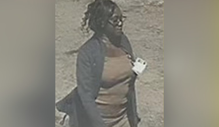 Jacksonville Sheriff's Office Seeks Public's Help to Identify Suspect in Mixon Town Violent Crime