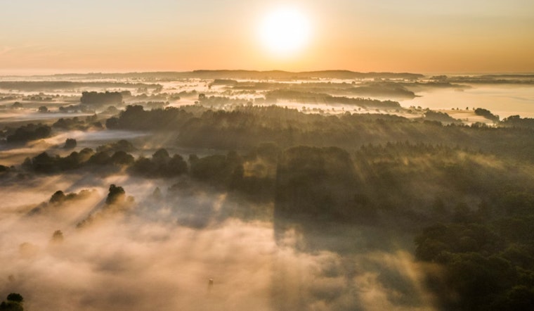 Jacksonville Weather Brings Foggy Mornings, Sunny Skies, and Weekend Thunderstorms
