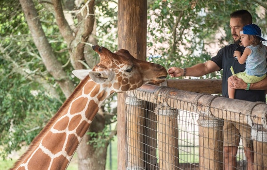 Jacksonville Zoo and Gardens Leaps to No. 4 in USA TODAY's Best Zoo Rankings