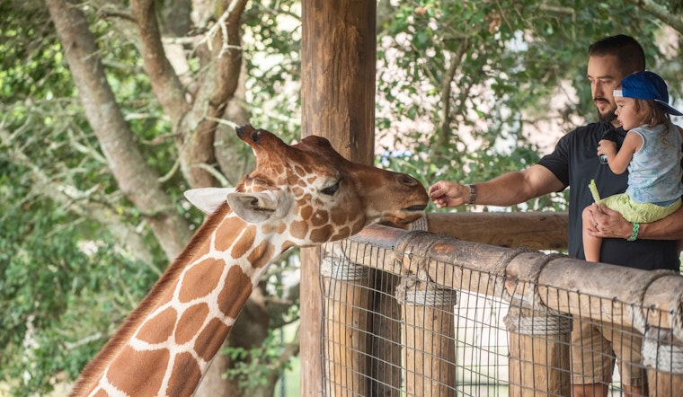 Jacksonville Zoo and Gardens Leaps to No. 4 in USA TODAY's Best Zoo Rankings