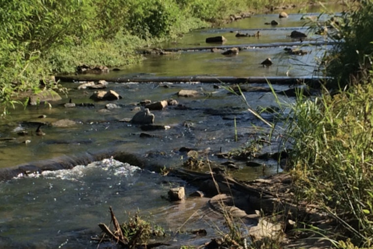 Join the Community Effort for Cleaner Creeks as Charlotte's Creek Week Invites Residents to Environmental Action March 22-29