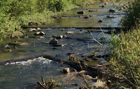 Join the Community Effort for Cleaner Creeks as Charlotte's Creek Week Invites Residents to Environmental Action March 22-29