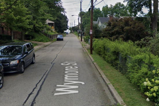 Juvenile Suspect Detained for Armed Robbery and Assault of Pizza Delivery Driver in Pittsburgh