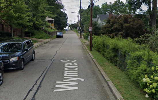 Juvenile Suspect Detained for Armed Robbery and Assault of Pizza Delivery Driver in Pittsburgh