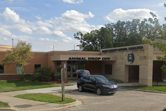 Kent County Animal Shelter Warns of Bogus Pet Surgery Scams After Phone Number Cloning Incidents