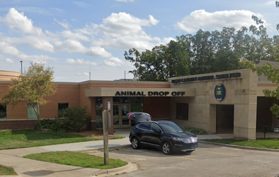 Kent County Animal Shelter Warns of Bogus Pet Surgery Scams After Phone Number Cloning Incidents