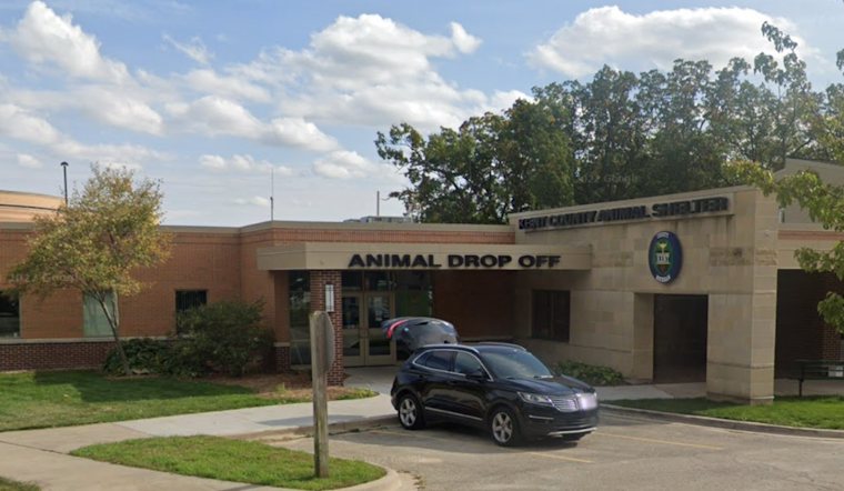Kent County Animal Shelter Warns of Bogus Pet Surgery Scams After Phone Number Cloning Incidents