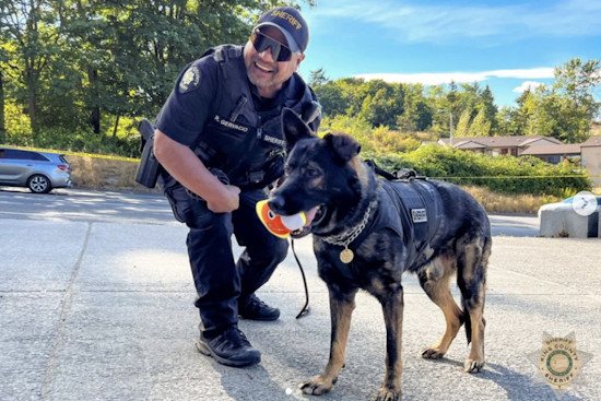 King County Opens Applications for Community Police Academy in Sammamish, Carnation, Woodinville, and Skykomish