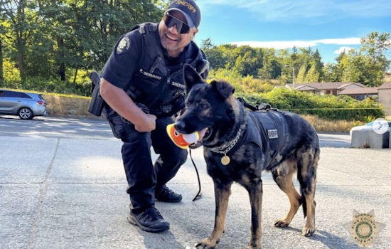 King County Opens Applications for Community Police Academy in Sammamish, Carnation, Woodinville, and Skykomish