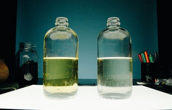 King County Scientists Develop Soil Solution to Protect Coho Salmon from Toxic Tire Dust
