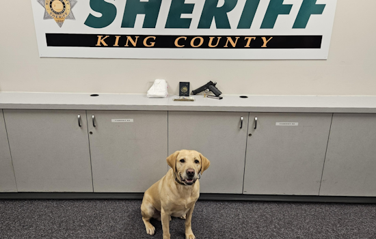 King County Sheriff's Office Busts Two Suspected Drug Traffickers, Seizes Cocaine Worth $50K in Southwest King County