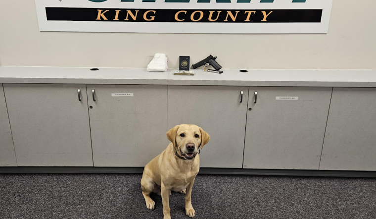 King County Sheriff's Office Busts Two Suspected Drug Traffickers, Seizes Cocaine Worth $50K in Southwest King County