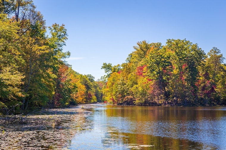 Kingsport, Tennessee Seeks Public Input on Bays Mountain and Brickyard Park Renovations