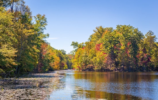 Kingsport, Tennessee Seeks Public Input on Bays Mountain and Brickyard Park Renovations