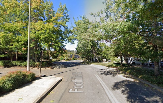 Lake Oswego Attorney's Car Vandalized Amidst Lake Access Dispute, Police Seek Anonymous Tipster