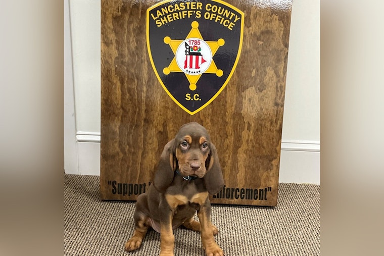 Lancaster County Sheriff's Office Welcomes New Bloodhound Lucky to K-9 Unit