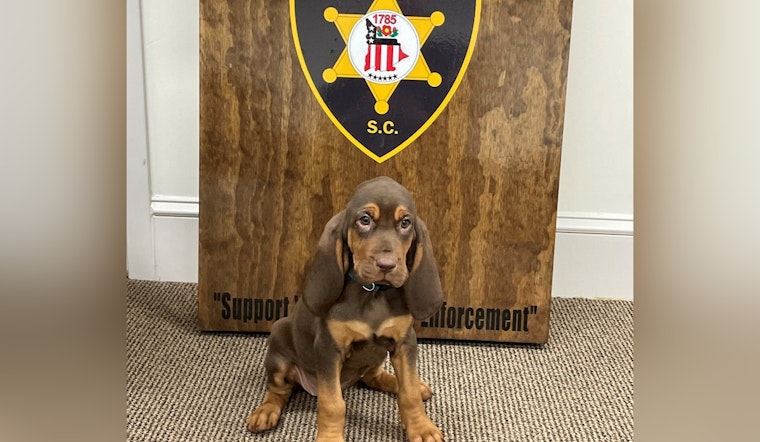 Lancaster County Sheriff's Office Welcomes New Bloodhound Lucky to K-9 Unit
