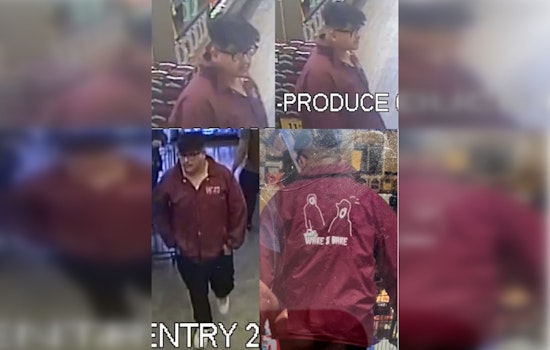 LAPD Seeks Public's Help to Identify Suspect in Sexual and Physical Assaults Near USC