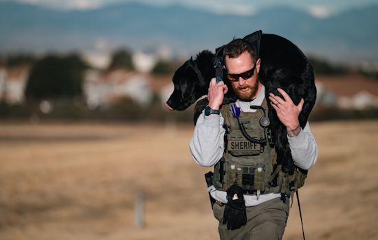 Larimer County Sheriff's Office Honors Service Dogs on National K9 Veterans Day with Touching Ruck March Tribute