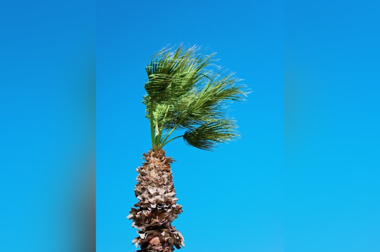 Las Vegas Braces for Mixed Bag of Weather: Warmer Weekend Followed by Winds and Temperature Dip Next Week