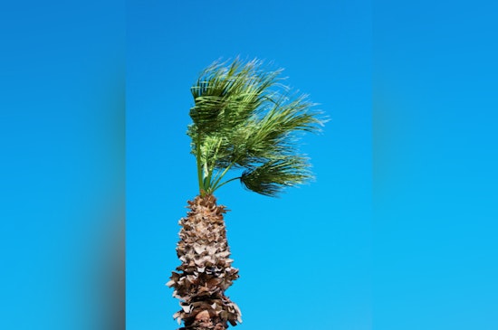 Las Vegas Braces for Mixed Bag of Weather: Warmer Weekend Followed by Winds and Temperature Dip Next Week