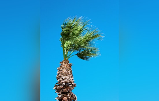 Las Vegas Braces for Mixed Bag of Weather: Warmer Weekend Followed by Winds and Temperature Dip Next Week