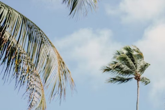 Las Vegas Set for Drier Weekend After Wet Spell, Mojave Desert to Experience Strong Winds