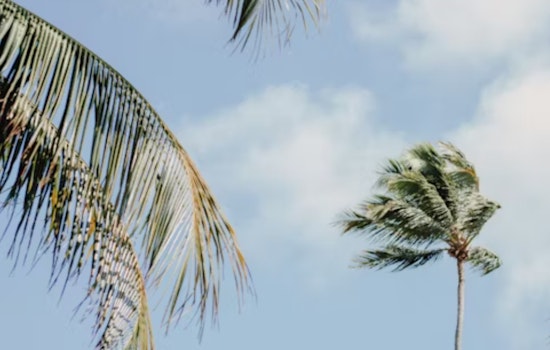 Las Vegas Set for Drier Weekend After Wet Spell, Mojave Desert to Experience Strong Winds