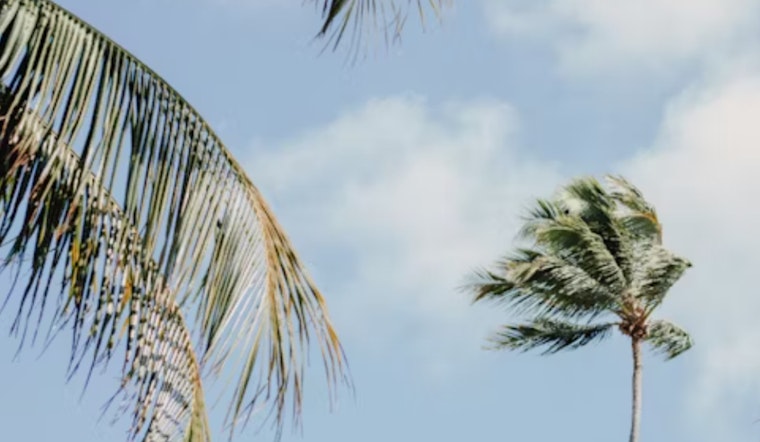 Las Vegas Set for Drier Weekend After Wet Spell, Mojave Desert to Experience Strong Winds