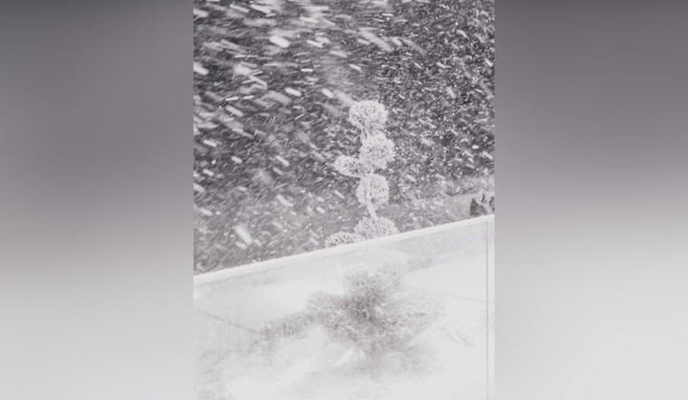 Late-Winter Storm to Bring Heavy Snow and High Winds to Northern California, Sacramento Warns of Travel Impacts