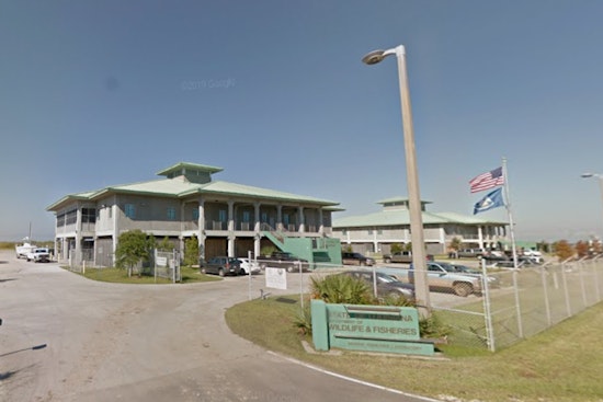 LDWF Launches Online Portal for Oyster Larvae Orders to Support Local Aquaculture in Louisiana