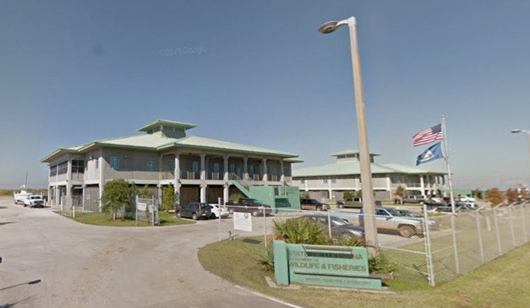 LDWF Launches Online Portal for Oyster Larvae Orders to Support Local Aquaculture in Louisiana