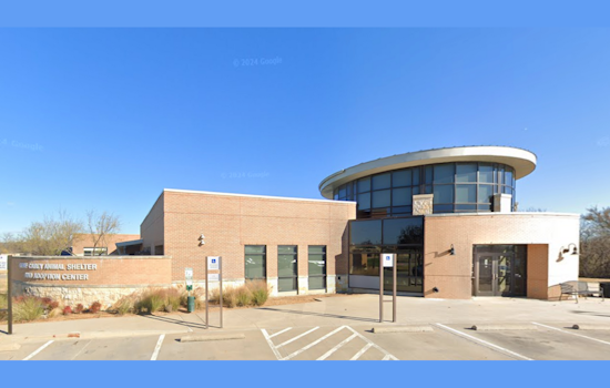 Lewisville Partners with TCAP to Provide Low-Cost Pet Vaccine Clinic on April 5