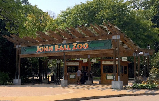 Lions, Warthogs and Lanterns as John Ball Zoo in Grand Rapids Opens 134th Season with New Attractions and Activities