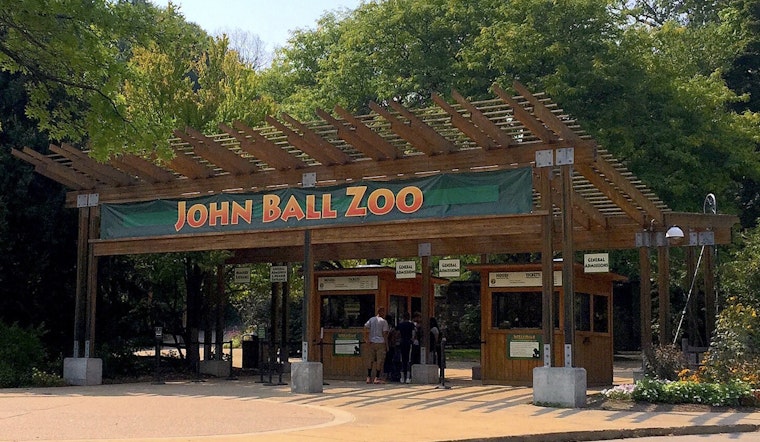 Lions, Warthogs and Lanterns as John Ball Zoo in Grand Rapids Opens 134th Season with New Attractions and Activities