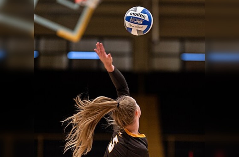 Lipscomb's Brandon Rosenthal Joins Elite Ranks with 400th Career Win as Bison Volleyball Coach