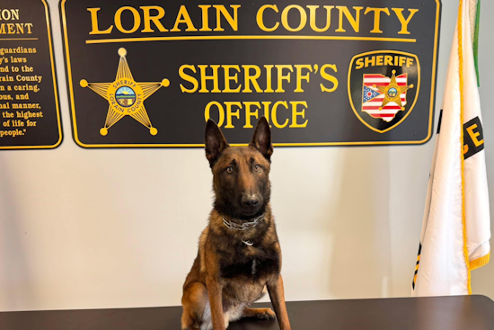 Lorain County Sheriff's Office Celebrates National Puppy Day with New K-9 Recruit and Advocates for Pet Adoption
