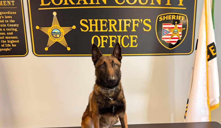 Lorain County Sheriff's Office Celebrates National Puppy Day with New K-9 Recruit and Advocates for Pet Adoption