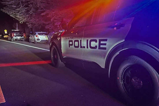 Los Altos Police Nab Suspect for Vehicle Theft with Aid of FLOCK Surveillance Tech
