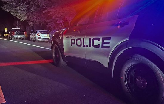 Los Altos Police Nab Suspect for Vehicle Theft with Aid of FLOCK Surveillance Tech