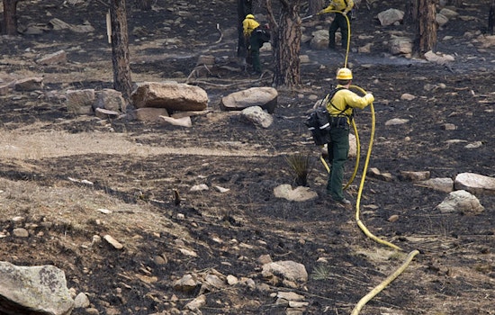 Los Angeles County Implements Stringent Dust Control for Post-Fire Cleanup in Palisades and Eaton Burn Areas